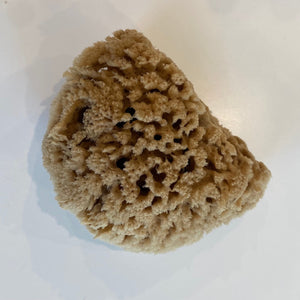 Southern Rhoades Apothecary | Sea Sponge