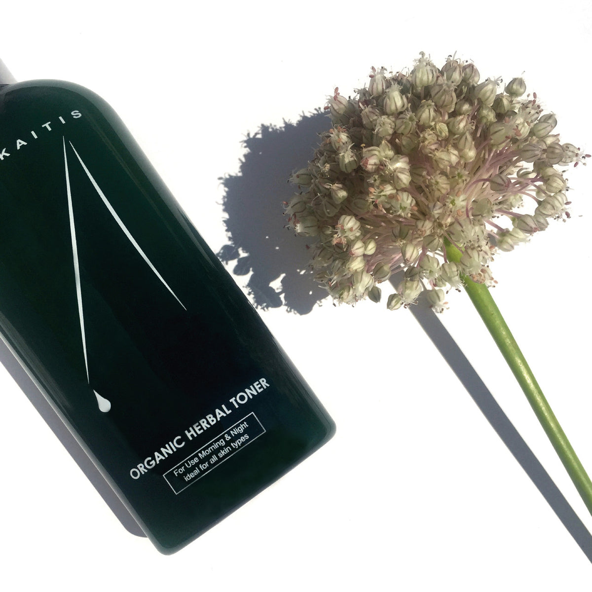 Dr. Alkaitis Organic Herbal Toner