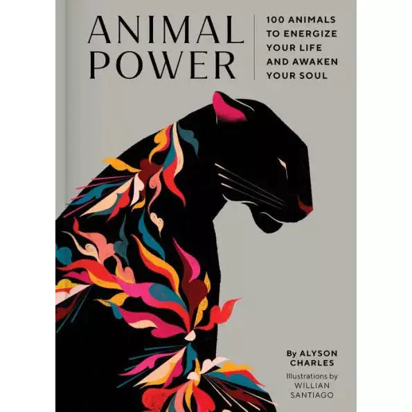 Animal Power: 100 Animals to Energize Your Life and Awaken Your Soul by Alyson Charles